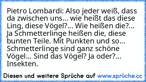 Pietro Lombardi: 
Also jeder weiß, dass da zwischen uns... wie heißt das diese Ling, diese Vögel?... Wie heißen die?... Ja Schmetterlinge heißen die, diese bunten Teile. Mit Punkten und so... Schmetterlinge sind ganz schöne Vögel... Sind das Vögel? Ja oder?... Insekten.