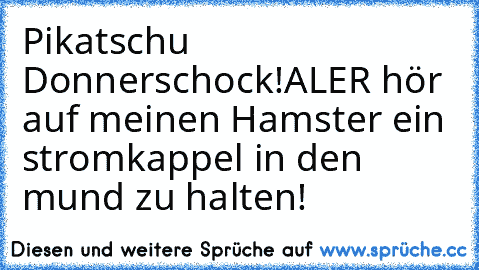 Pikatschu Donnerschock!
ALER hör auf meinen Hamster ein stromkappel in den mund zu halten!