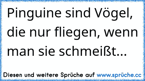 Pinguine sind Vögel, die nur fliegen, wenn man sie schmeißt...