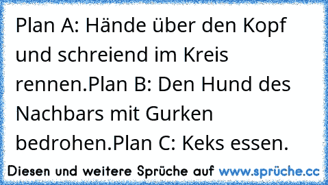 Plan A: Hände über den Kopf und schreiend im Kreis rennen.
Plan B: Den Hund des Nachbars mit Gurken bedrohen.
Plan C: Keks essen.