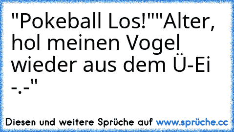 "Pokeball Los!"
"Alter, hol meinen Vogel wieder aus dem Ü-Ei -.-"