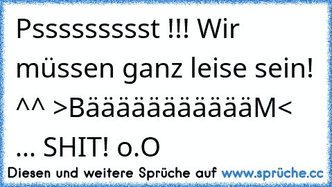 Pssssssssst !!! Wir müssen ganz leise sein! ^^ >BäääääääääääM< ... SHIT! o.O