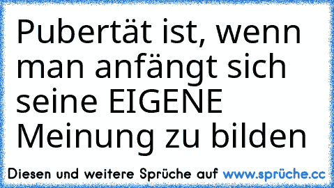 Pubertät ist, wenn  man anfängt sich seine EIGENE Meinung zu bilden