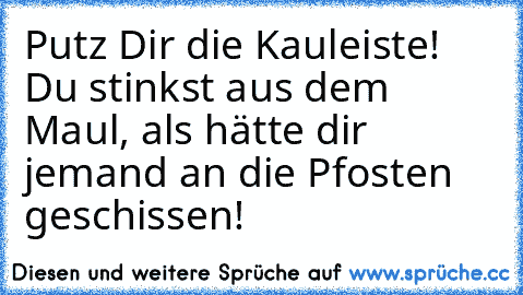 Putz Dir die Kauleiste! Du stinkst aus dem Maul, als hätte dir jemand an die Pfosten geschissen!