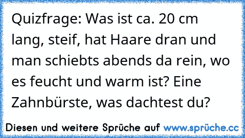 Quizfrage: Was ist ca. 20 cm lang, steif, hat Haare dran und man schiebts abends da rein, wo es feucht und warm ist? Eine Zahnbürste, was dachtest du?