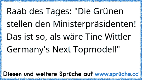 Raab des Tages: "Die Grünen stellen den Ministerpräsidenten! Das ist so, als wäre Tine Wittler Germany's Next Topmodel!"