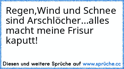 Regen,Wind und Schnee sind Arschlöcher...alles macht meine Frisur kaputt!