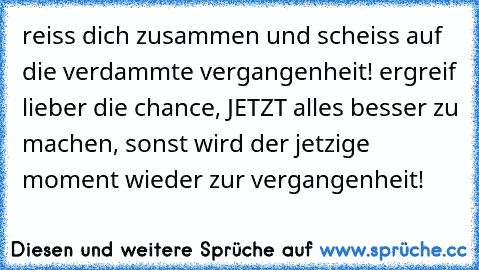 reiss dich zusammen und scheiss auf die verdammte vergangenheit! ergreif lieber die chance, JETZT alles besser zu machen, sonst wird der jetzige moment wieder zur vergangenheit!