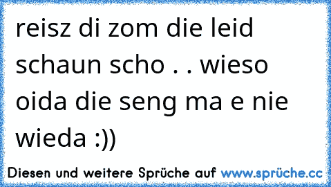 reisz di zom die leid schaun scho . . wieso oida die seng ma e nie wieda :))