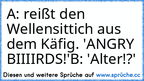 A: reißt den Wellensittich aus dem Käfig. 'ANGRY BIIIIRDS!'
B: 'Alter!?'