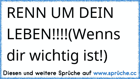 RENN UM DEIN LEBEN!!!!
(Wenns dir wichtig ist!)