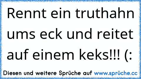 Rennt ein truthahn ums eck und reitet auf einem keks!!! (: