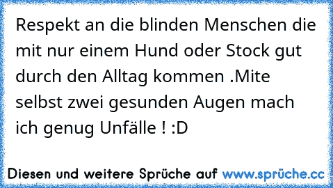 Respekt an die blinden Menschen die mit nur einem Hund oder Stock gut durch den Alltag kommen .
Mite selbst zwei gesunden Augen mach ich genug Unfälle ! :D