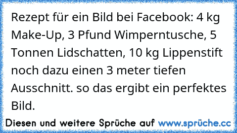 Rezept für ein Bild bei Facebook: 4 kg Make-Up, 3 Pfund Wimperntusche, 5 Tonnen Lidschatten, 10 kg Lippenstift noch dazu einen 3 meter tiefen Ausschnitt. so das ergibt ein perfektes Bild.