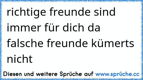 richtige freunde sind immer für dich da           falsche freunde kümerts nicht  ♥