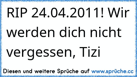 RIP 24.04.2011! Wir werden dich nicht vergessen, Tizi