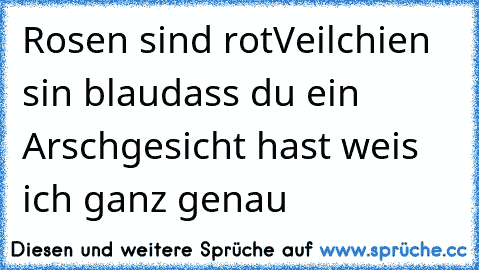 Rosen sind rot
Veilchien sin blau
dass du ein Arschgesicht hast weis ich ganz genau