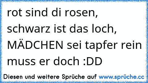 rot sind di rosen, schwarz ist das loch, MÄDCHEN sei tapfer rein muss er doch :DD