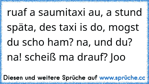 ruaf a saumitaxi au, a stund späta, des taxi is do, mogst du scho ham? na, und du? na! scheiß ma drauf? Joo