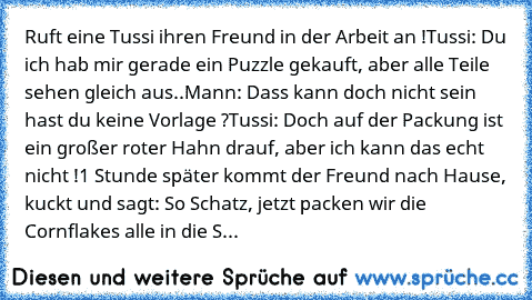 Ruft eine Tussi ihren Freund in der Arbeit an !
Tussi: Du ich hab mir gerade ein Puzzle gekauft, aber alle Teile sehen gleich aus..
Mann: Dass kann doch nicht sein hast du keine Vorlage ?
Tussi: Doch auf der Packung ist ein großer roter Hahn drauf, aber ich kann das echt nicht !
1 Stunde später kommt der Freund nach Hause, kuckt und sagt: So Schatz, jetzt packen wir die Cornflakes alle in die S...