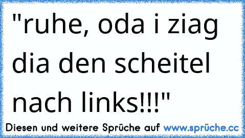 "ruhe, oda i ziag dia den scheitel nach links!!!"