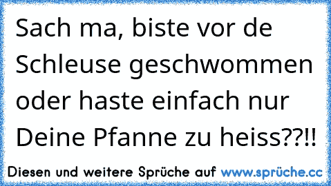 Sach ma, biste vor de Schleuse geschwommen oder haste einfach nur Deine Pfanne zu heiss??!!