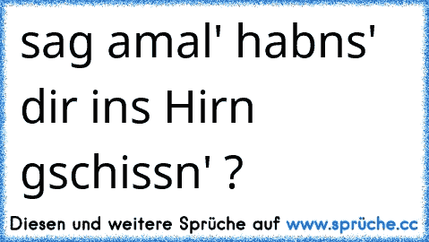 sag amal' habns' dir ins Hirn gschissn' ?