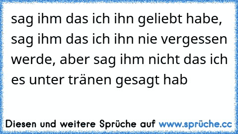 sag ihm das ich ihn geliebt habe, sag ihm das ich ihn nie vergessen werde, aber sag ihm nicht das ich es unter tränen gesagt hab 