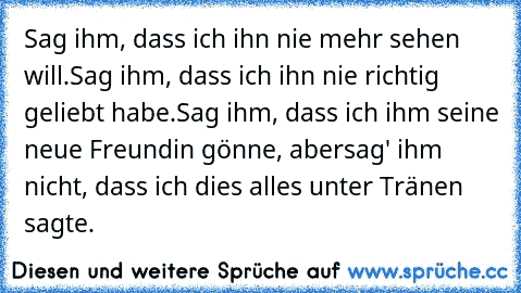 Sag ihm, dass ich ihn nie mehr sehen will.
Sag ihm, dass ich ihn nie richtig geliebt habe.
Sag ihm, dass ich ihm seine neue Freundin gönne, aber
sag' ihm nicht, dass ich dies alles unter Tränen sagte.