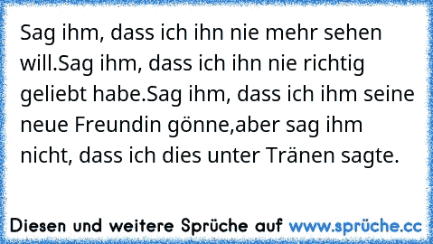 Sag ihm, dass ich ihn nie mehr sehen will.
Sag ihm, dass ich ihn nie richtig geliebt habe.
Sag ihm, dass ich ihm seine neue Freundin gönne,
aber sag ihm nicht, dass ich dies unter Tränen sagte.