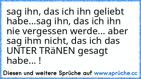 sag ihn, das ich ihn geliebt habe...
sag ihn, das ich ihn nie vergessen werde... 
aber sag ihm nicht, das ich das UNTER TRäNEN gesagt habe... !