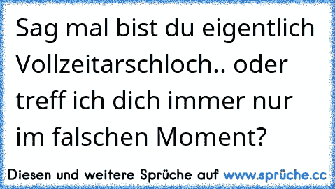 Sag mal bist du eigentlich Vollzeitarschloch.. oder treff ich dich immer nur im falschen Moment?