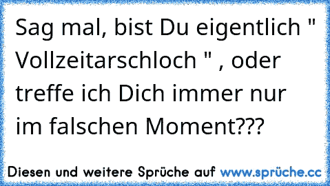 Sag mal, bist Du eigentlich " Vollzeitarschloch " , oder treffe ich Dich immer nur im falschen Moment???