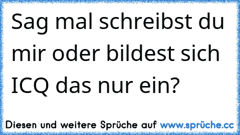 Sag mal schreibst du mir oder bildest sich ICQ das nur ein?