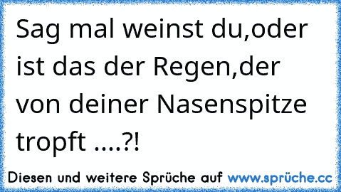 Sag mal weinst du,
oder ist das der Regen,
der von deiner Nasenspitze tropft ....?!