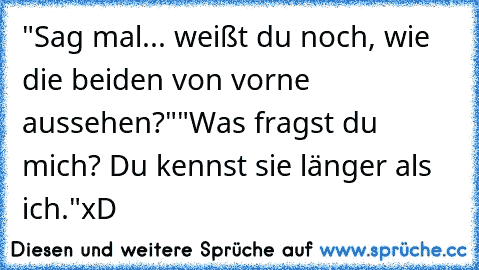 "Sag mal... weißt du noch, wie die beiden von vorne aussehen?"
"Was fragst du mich? Du kennst sie länger als ich."
xD