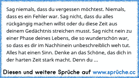 Sag niemals, dass du vergessen möchtest. Niemals, dass es ein Fehler war. Sag nicht, dass du alles rückgängig machen willst oder du diese Zeit aus deinem Gedächtnis streichen musst. Sag nicht nein zu einer Phase deines Lebens, die so wunderschön war, so dass es dir im Nachhinein unbeschreiblich weh tut. Alles hat einen Sinn. Denke an das Schöne, das dich in der harten Zeit stark macht. Denn du ...