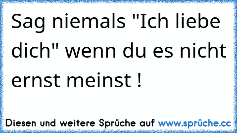 Sag niemals "Ich liebe dich" wenn du es nicht ernst meinst !