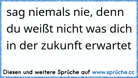 sag niemals nie, denn du weißt nicht was dich in der zukunft erwartet