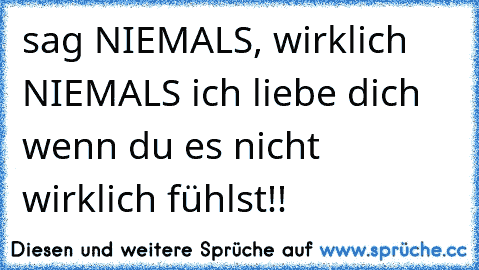 sag NIEMALS, wirklich NIEMALS ich liebe dich wenn du es nicht wirklich fühlst!!