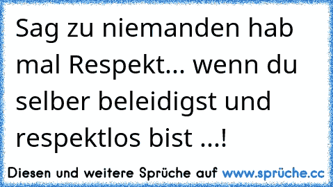 Sag zu niemanden hab mal Respekt... wenn du selber beleidigst und respektlos bist ...!