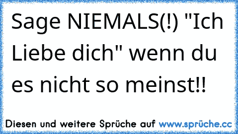 Sage NIEMALS(!) "Ich Liebe dich" wenn du es nicht so meinst!!