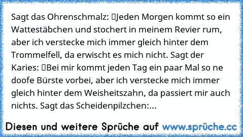 Sagt das Ohrenschmalz: “Jeden Morgen kommt so ein Wattestäbchen
 und stochert in meinem Revier rum, aber ich verstecke mich
 immer gleich hinter dem Trommelfell, da erwischt es mich nicht.”
 Sagt der Karies: “Bei mir kommt jeden Tag ein paar Mal so
 ‘ne doofe Bürste vorbei, aber ich verstecke mich immer gleich
 …hinter dem Weisheitszahn, da passiert mir auch nichts.”
 Sagt das Scheidenpilzchen:...