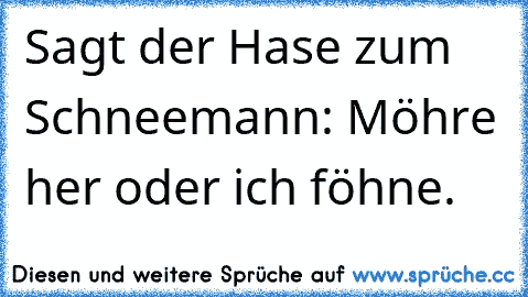 Sagt der Hase zum Schneemann: Möhre her oder ich föhne.