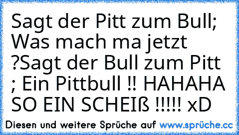 Sagt der Pitt zum Bull; Was mach ma jetzt ?
Sagt der Bull zum Pitt ; Ein Pittbull !! 
HAHAHA SO EIN SCHEIß !!!!! xD