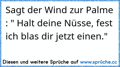 Sagt der Wind zur Palme : " Halt deine Nüsse, fest ich blas dir jetzt einen."