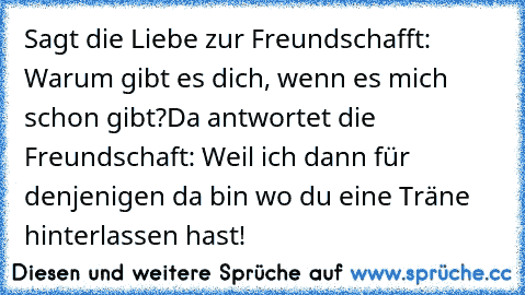 Sagt die Liebe zur Freundschafft: Warum gibt es dich, wenn es mich schon gibt?
Da antwortet die Freundschaft: Weil ich dann für denjenigen da bin wo du eine Träne hinterlassen hast!