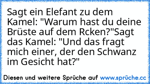 Sagt ein Elefant zu dem Kamel: "Warum hast du deine Brüste auf dem Rcken?"
Sagt das Kamel: "Und das fragt mich einer, der den Schwanz im Gesicht hat?"