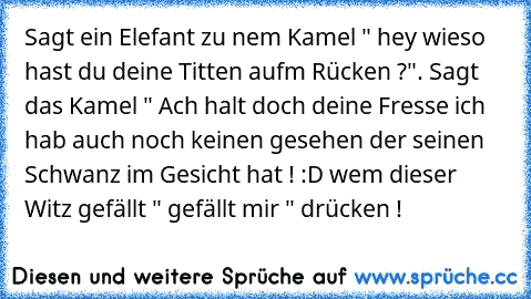 Sagt ein Elefant zu nem Kamel " hey wieso hast du deine Titten aufm Rücken ?". Sagt das Kamel " Ach halt doch deine Fresse ich hab auch noch keinen gesehen der seinen Schwanz im Gesicht hat ! :D 
wem dieser Witz gefällt " gefällt mir " drücken !