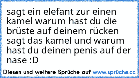 sagt ein elefant zur einen kamel warum hast du die brüste auf deinem rücken sagt das kamel und warum hast du deinen penis auf der nase :D